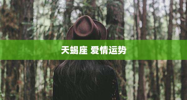 天蝎座 爱情运势