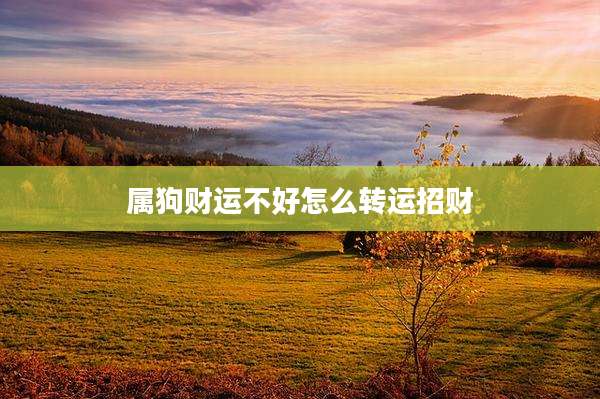 属狗财运不好怎么转运招财