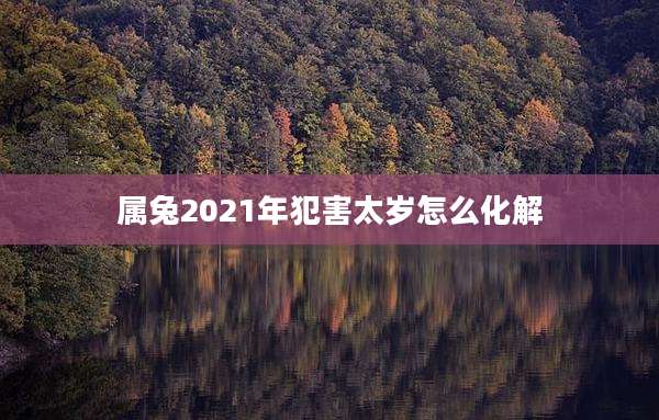 属兔2021年犯害太岁怎么化解