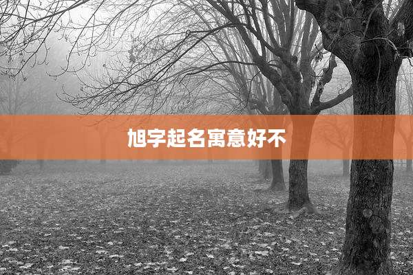 旭字起名寓意好不