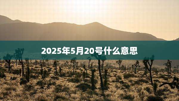 2025年5月20号什么意思