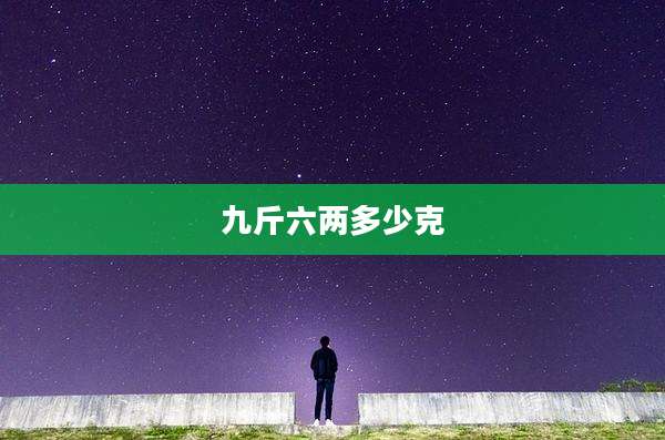 九斤六两多少克