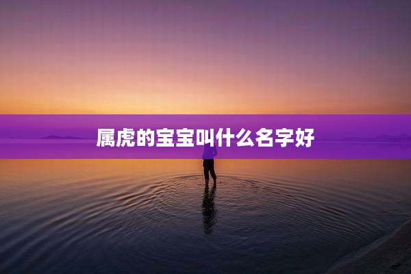 属虎的宝宝叫什么名字好