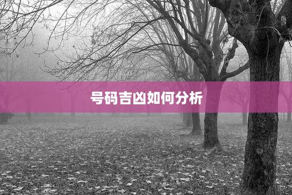 号码吉凶如何分析