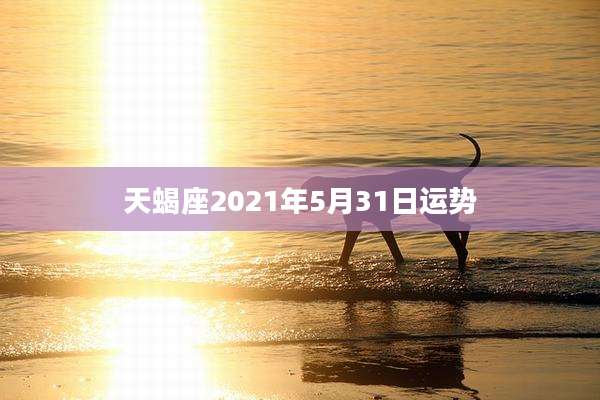 天蝎座2021年5月31日运势