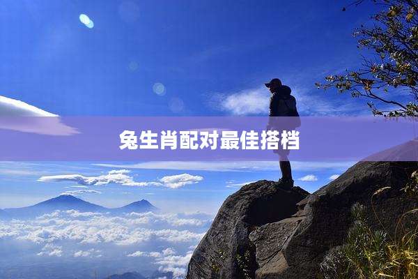 兔生肖配对最佳搭档