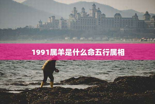 1991属羊是什么命五行属相
