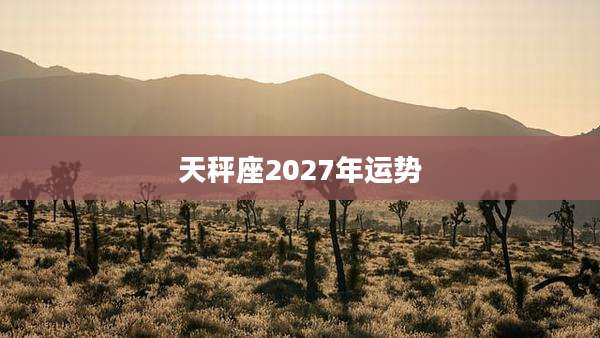 天秤座2027年运势