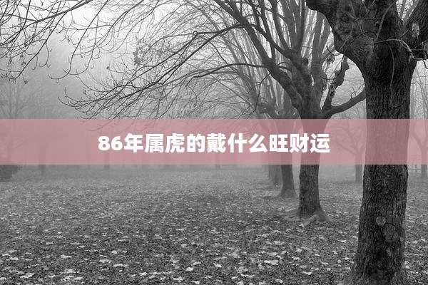 86年属虎的戴什么旺财运