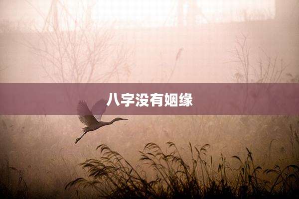 八字没有姻缘