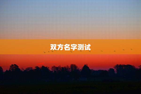 双方名字测试