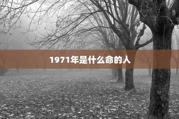 1971年是什么命的人