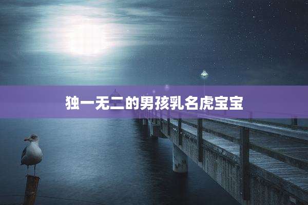 独一无二的男孩乳名虎宝宝