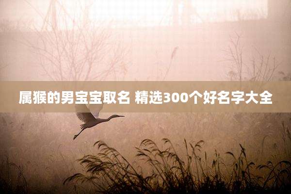 属猴的男宝宝取名 精选300个好名字大全