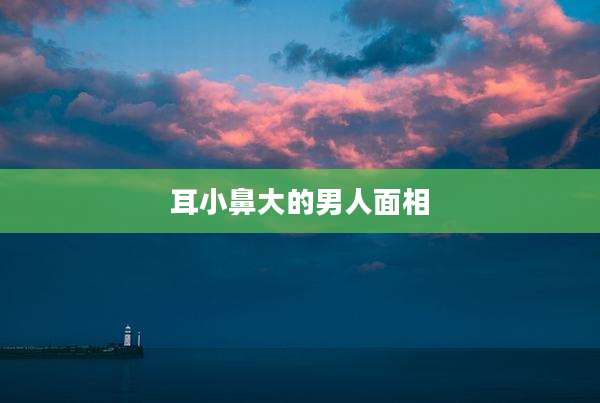 耳小鼻大的男人面相