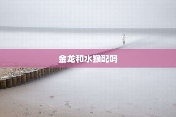 金龙和水猴配吗