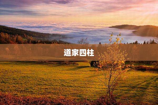 道家四柱