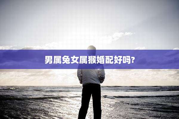 男属兔女属猴婚配好吗?