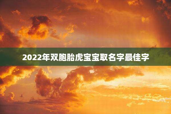 2022年双胞胎虎宝宝取名字最佳字