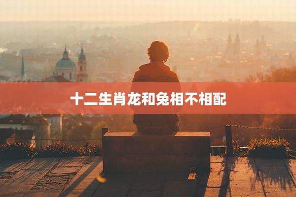十二生肖龙和兔相不相配