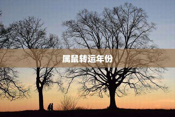 属鼠转运年份