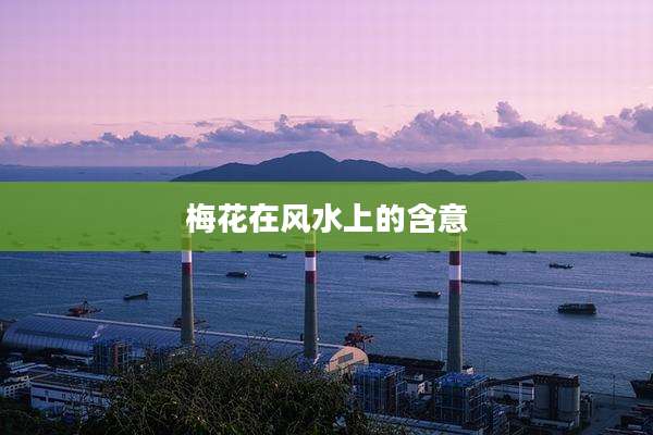 梅花在风水上的含意