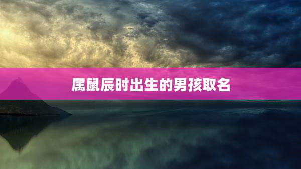 属鼠辰时出生的男孩取名