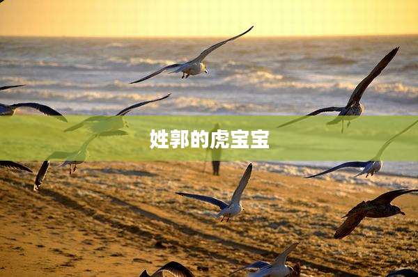 姓郭的虎宝宝