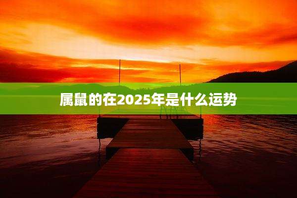 属鼠的在2025年是什么运势