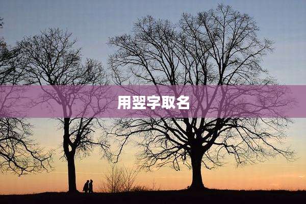 用翌字取名