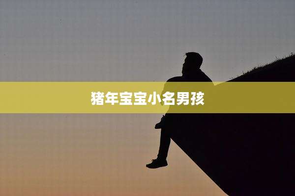 猪年宝宝小名男孩