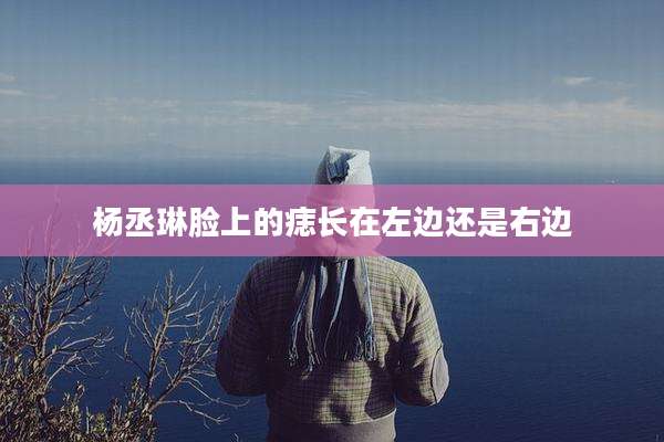 杨丞琳脸上的痣长在左边还是右边