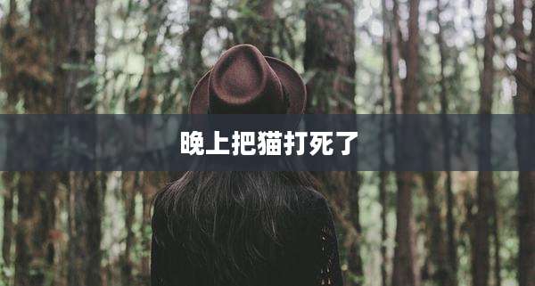 晚上把猫打死了