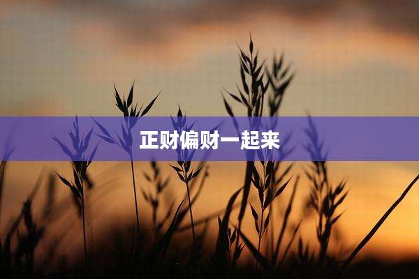 正财偏财一起来