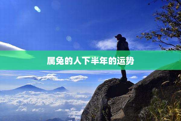 属兔的人下半年的运势