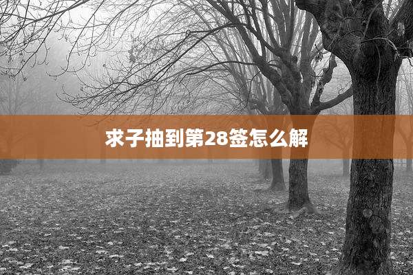 求子抽到第28签怎么解