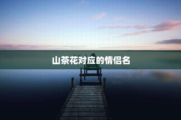 山茶花对应的情侣名