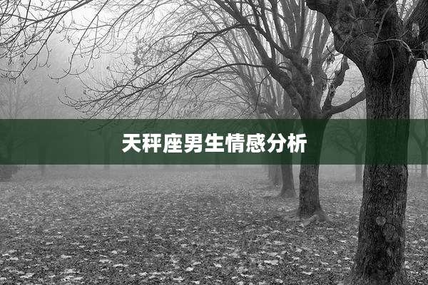 天秤座男生情感分析