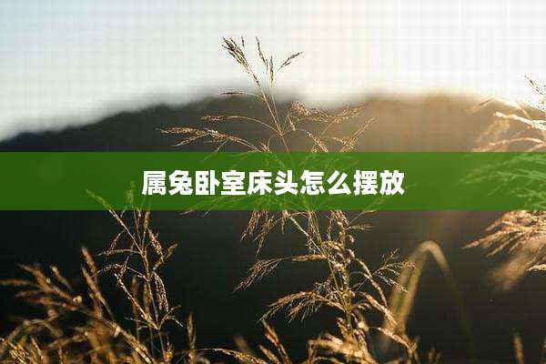 属兔卧室床头怎么摆放