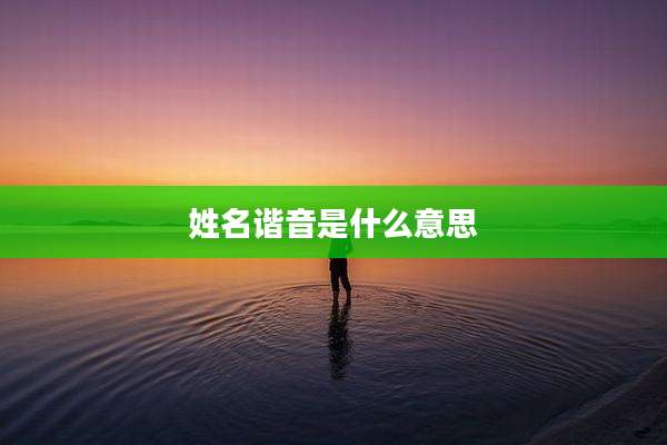 姓名谐音是什么意思