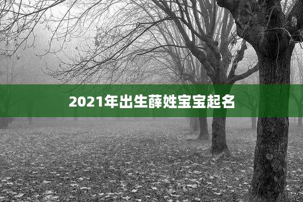 2021年出生薛姓宝宝起名