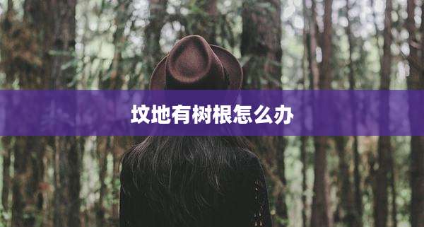 坟地有树根怎么办