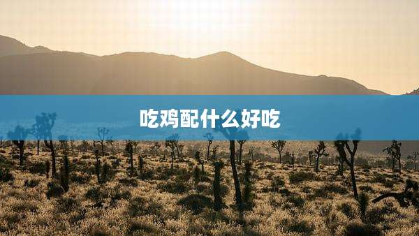 吃鸡配什么好吃
