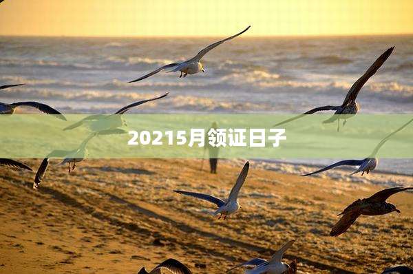 20215月领证日子