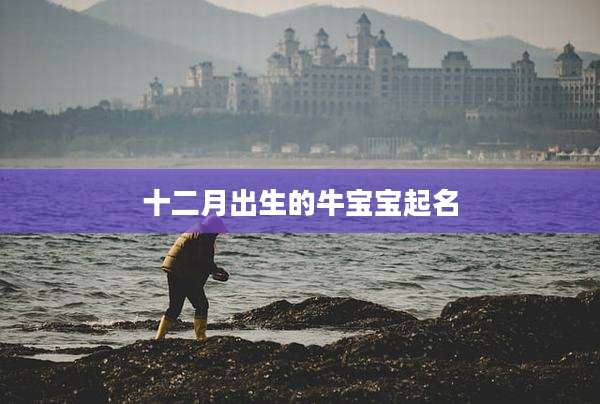 十二月出生的牛宝宝起名