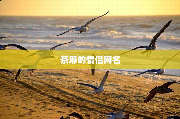 茶靡的情侣网名