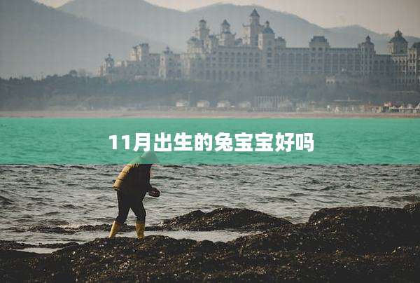 11月出生的兔宝宝好吗