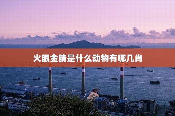 火眼金睛是什么动物有哪几肖