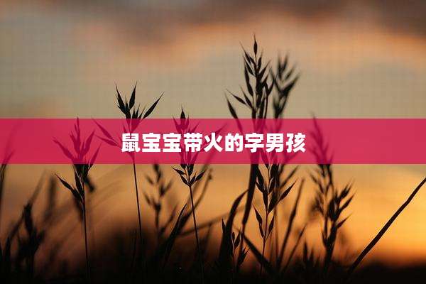 鼠宝宝带火的字男孩