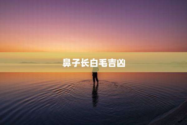 鼻子长白毛吉凶